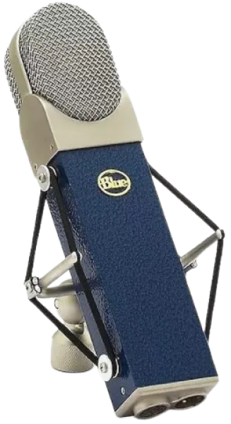 logitech blue blueberry