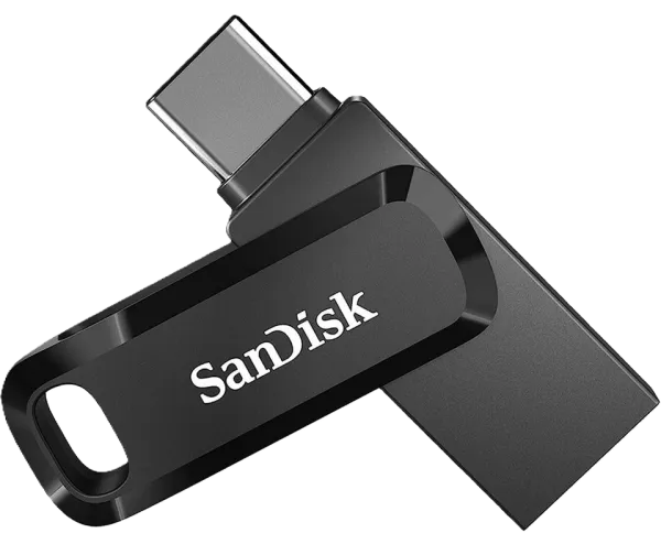 sandisk ultra dual drive go flash memory (1 tb)  (sdddc3-1t00-g46)