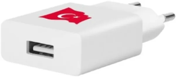 ttec smartcharger 2.1a  (2sc100)