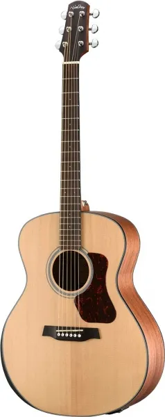 walden g550re electric acoustic  (wa-g550re)